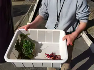 作並のプログラム4