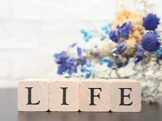 作並のプログラム6